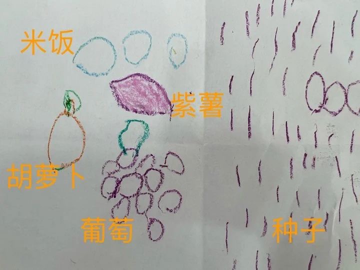 2e129f68a8d2401db03a523c33f7f1da.jpg