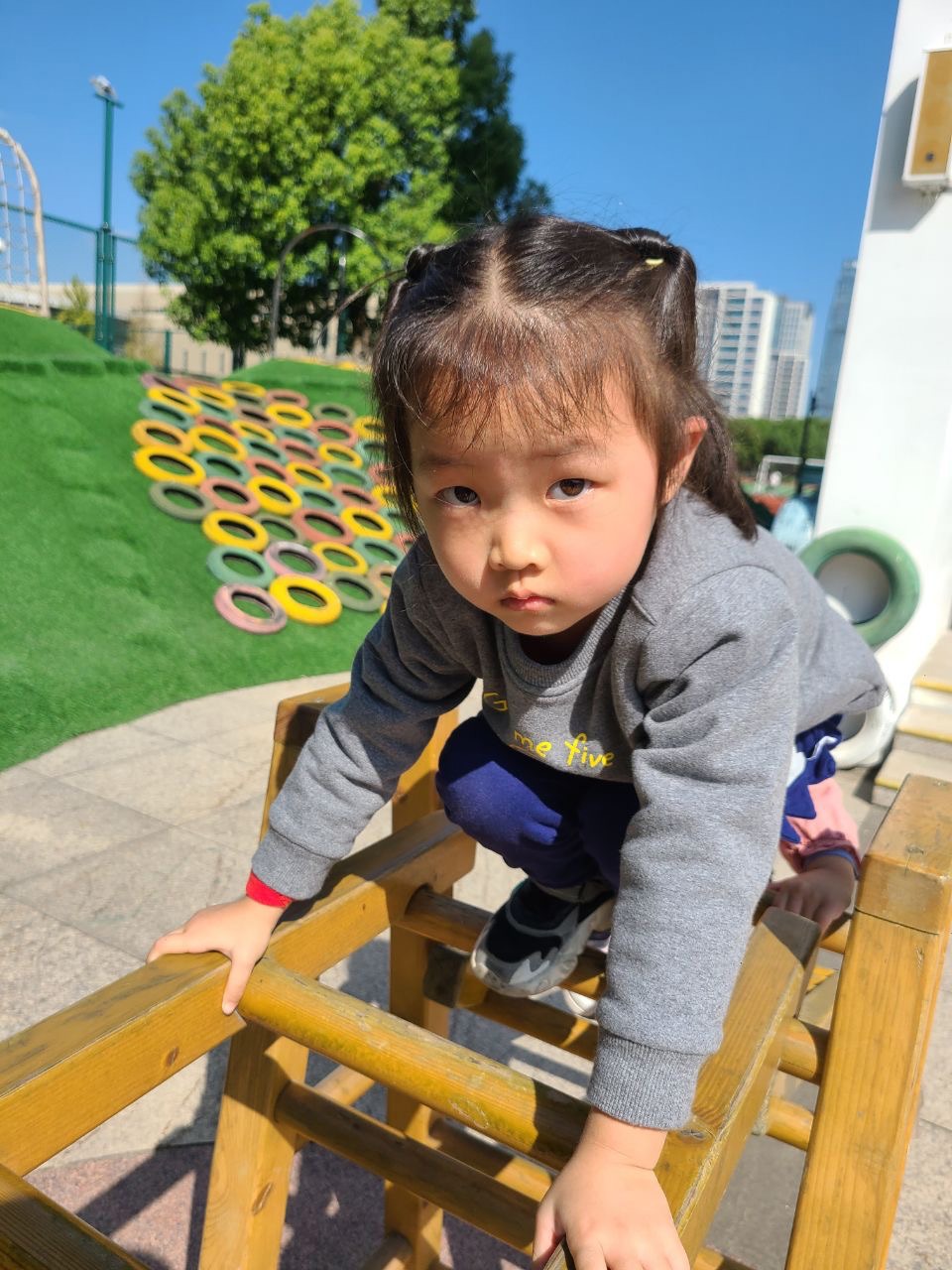 b549aacf0dae40e28c2870f2c0f467f6.jpg