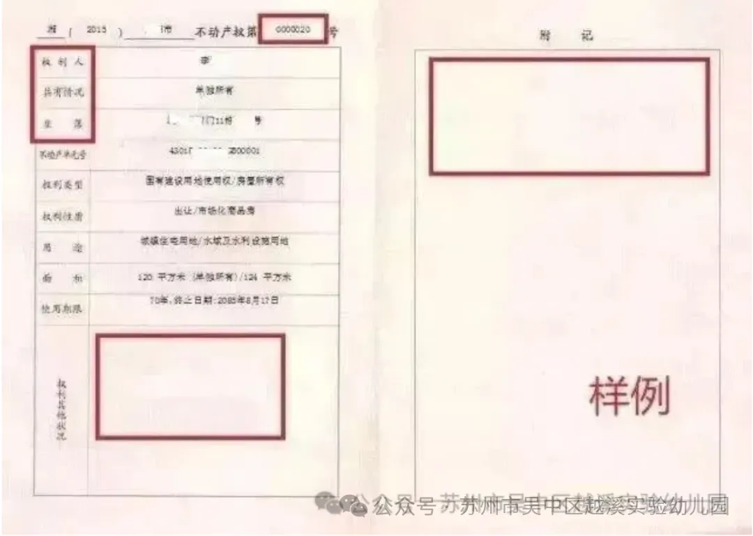 6.webp